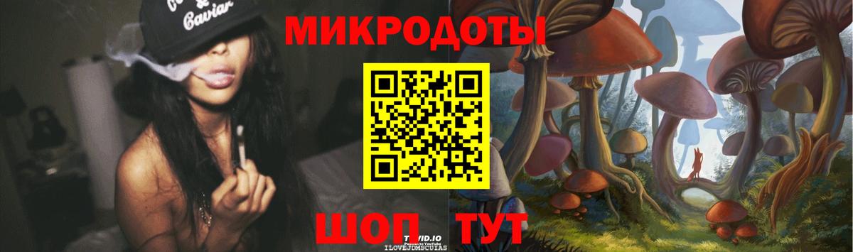 Галлюциногенные грибы Psilocybe Пятигорск
